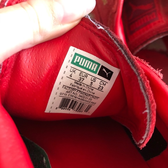 pumas - Picture 6 of 6